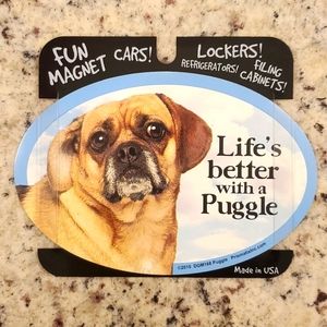 FUN MAGNET PET DECALS